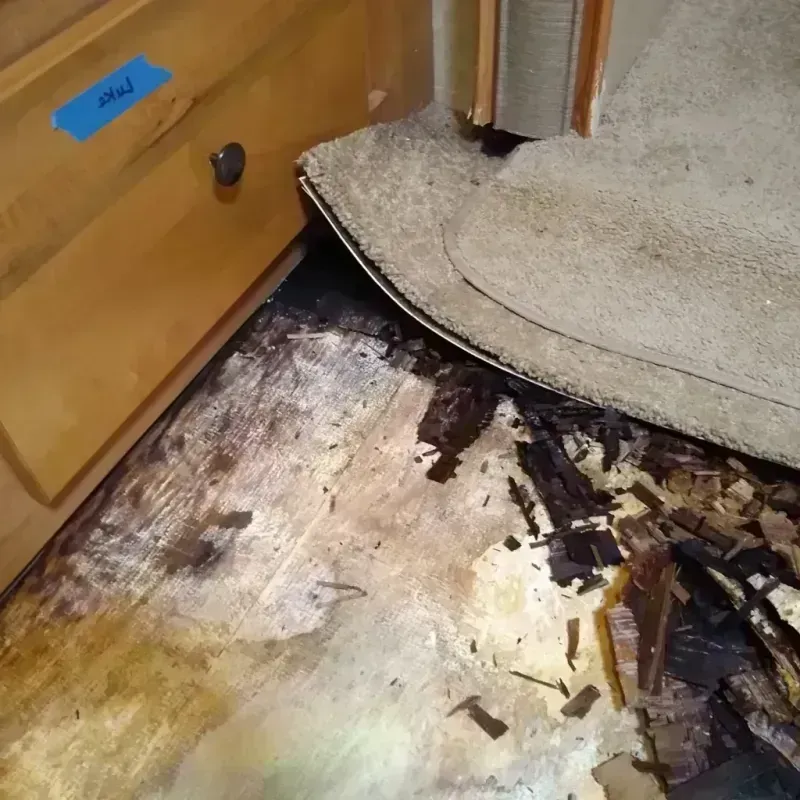 Wood Floor Water Damage in Grimes, IA